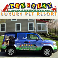 Pet N Play Luxury Pet Resort